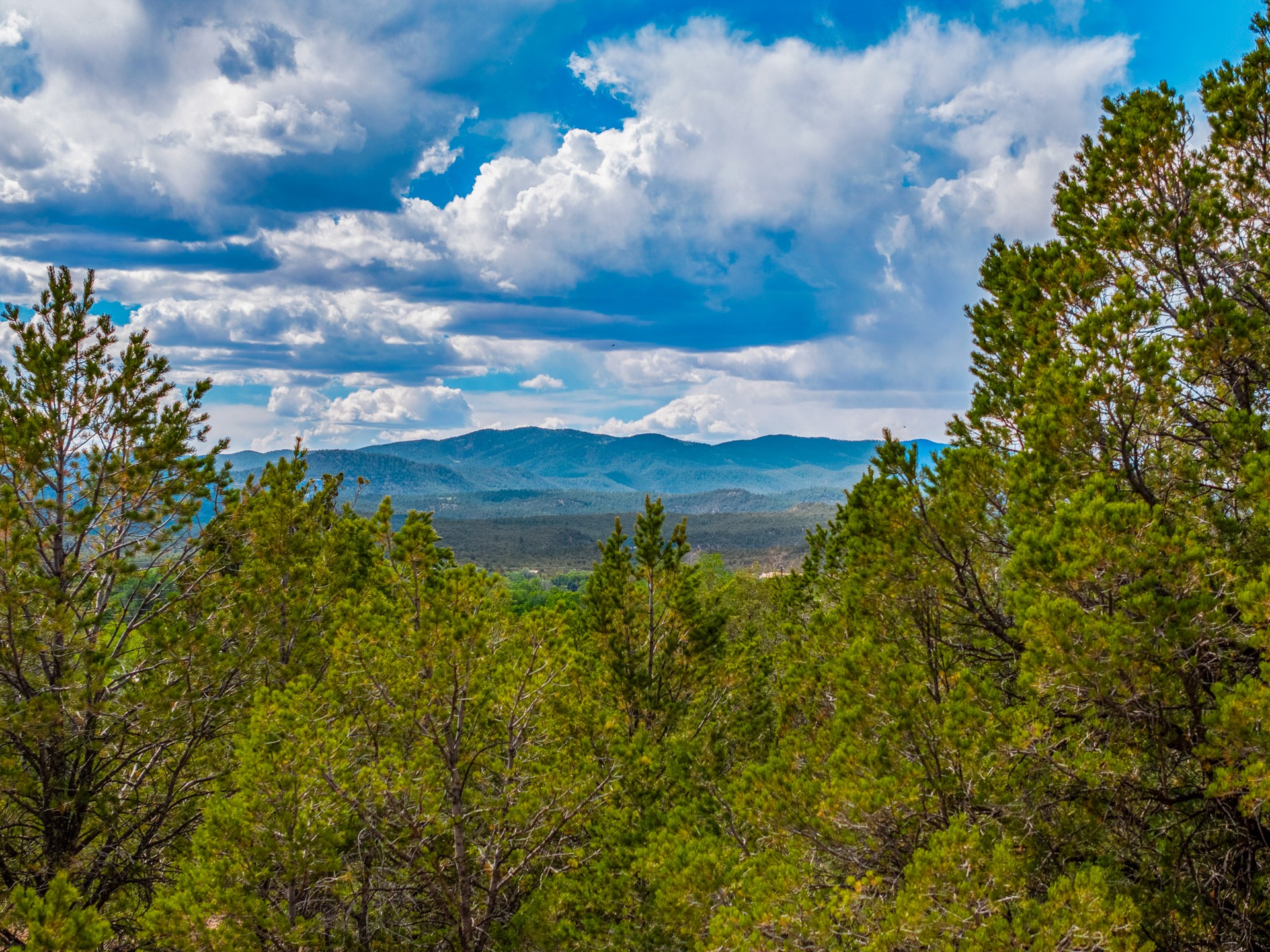 2.38-acres Old Colonias Road Pecos, NM 87552 - Photo 7 of 25