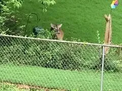 a kitchen with a sink cabinets and appliances