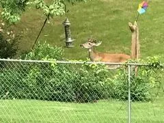 $1,799 | 1558 Womack Road, Atlanta, GA 30338