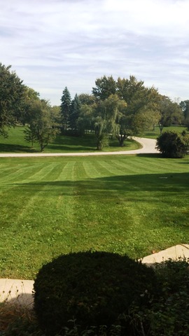 698 Sterling Road Inverness, IL 60067 - Photo 15 of 17