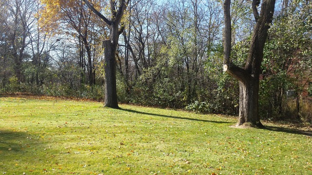 698 Sterling Road Inverness, IL 60067 - Photo 16 of 17