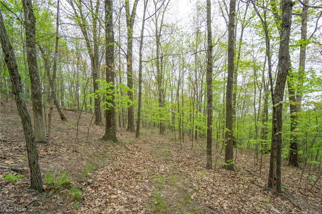 Palmer Road Kimbolton, OH 43749 - Photo 19 of 26 Gallery Image 19