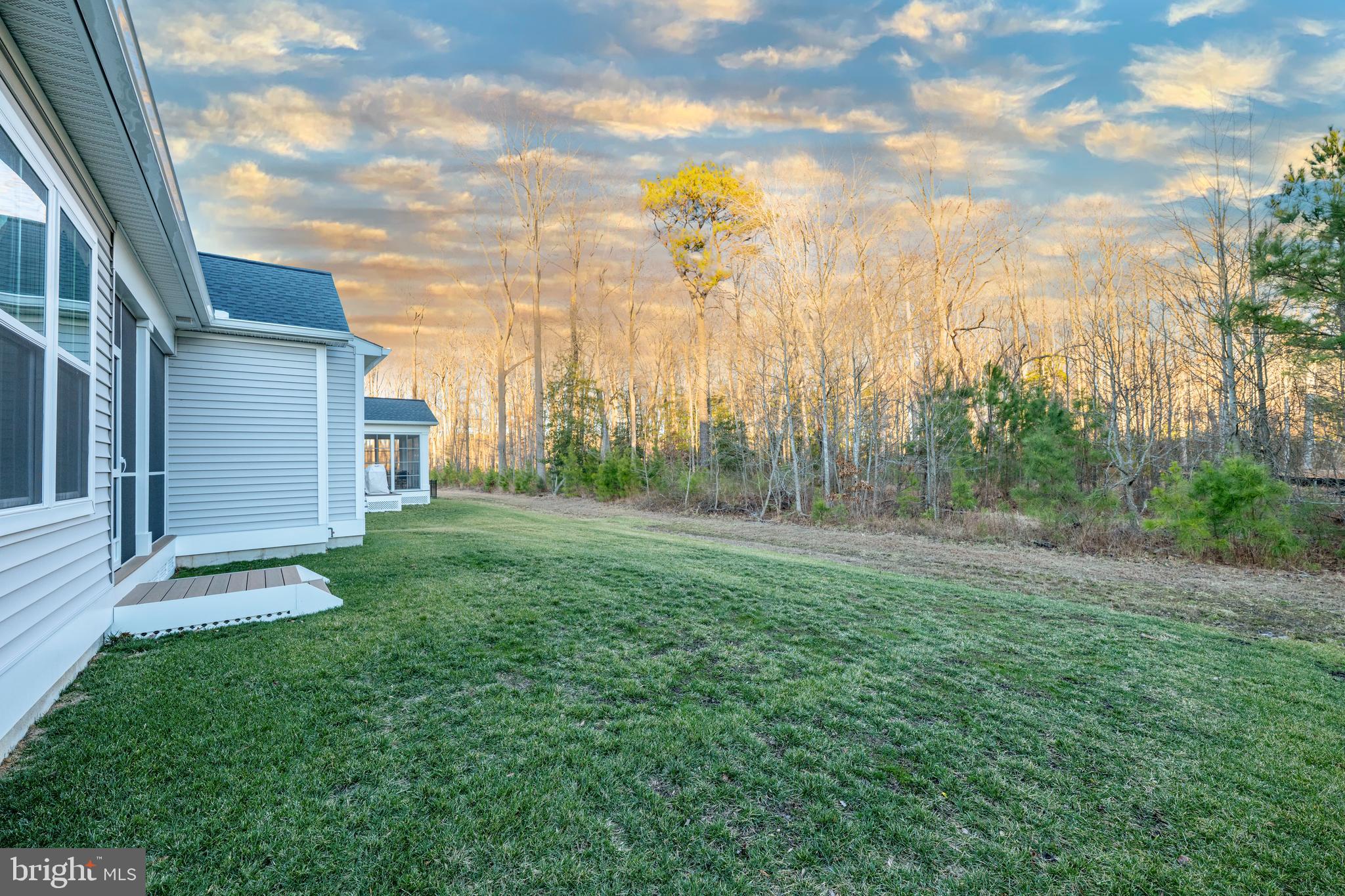 24176 Heartleaf Road Frankford, DE 19945 - Photo 25 of 29 Tree-lined backyard