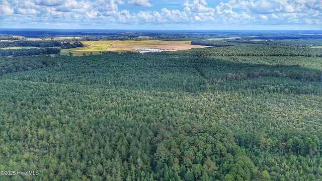 $360,000 | 949 East Pleasant Hill Road, Pink Hill, NC 28572