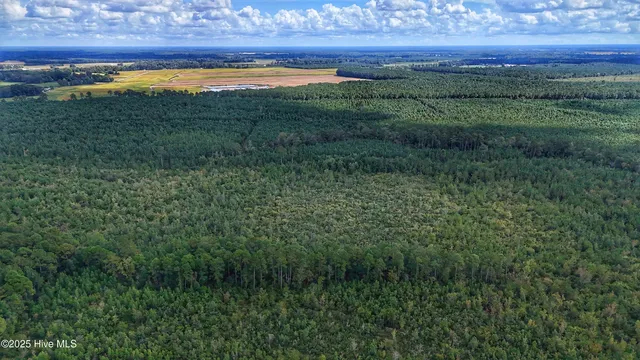 $360,000 | 949 East Pleasant Hill Road, Pink Hill, NC 28572