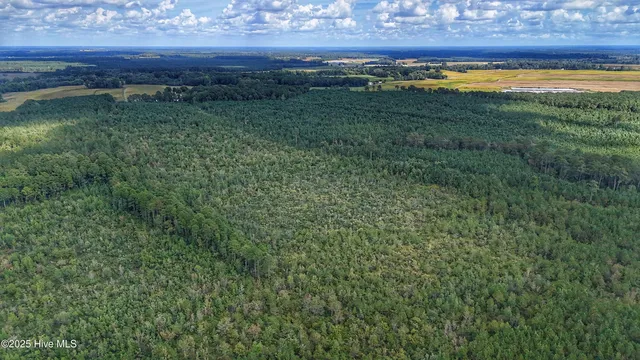 $360,000 | 949 East Pleasant Hill Road, Pink Hill, NC 28572