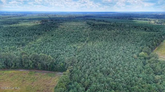 $360,000 | 949 East Pleasant Hill Road, Pink Hill, NC 28572