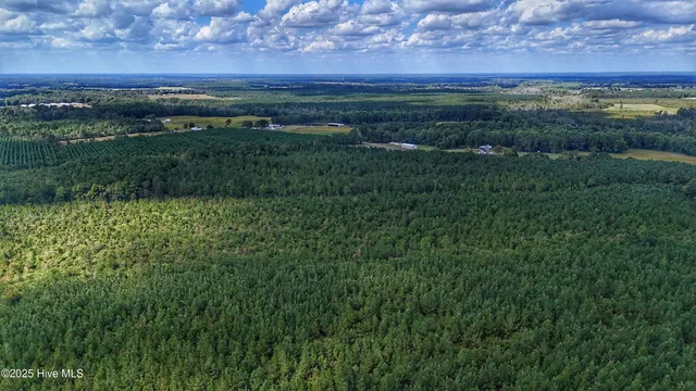 $360,000 | 949 East Pleasant Hill Road, Pink Hill, NC 28572