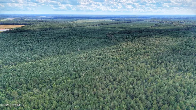 $360,000 | 949 East Pleasant Hill Road, Pink Hill, NC 28572