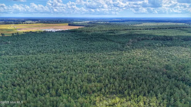 $360,000 | 949 East Pleasant Hill Road, Pink Hill, NC 28572