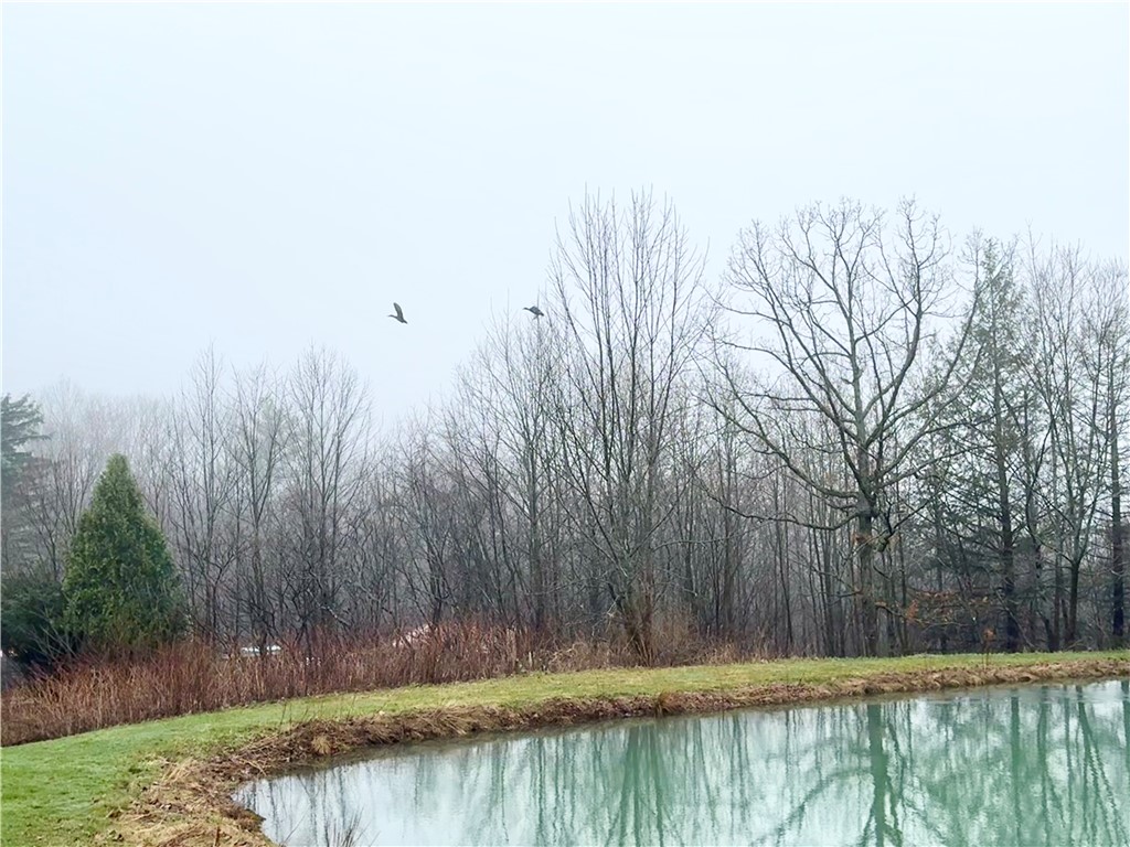 2595 Colby Creek Road Jasper, NY 14823 - Photo 26 of 37 Ducks flying off the pond