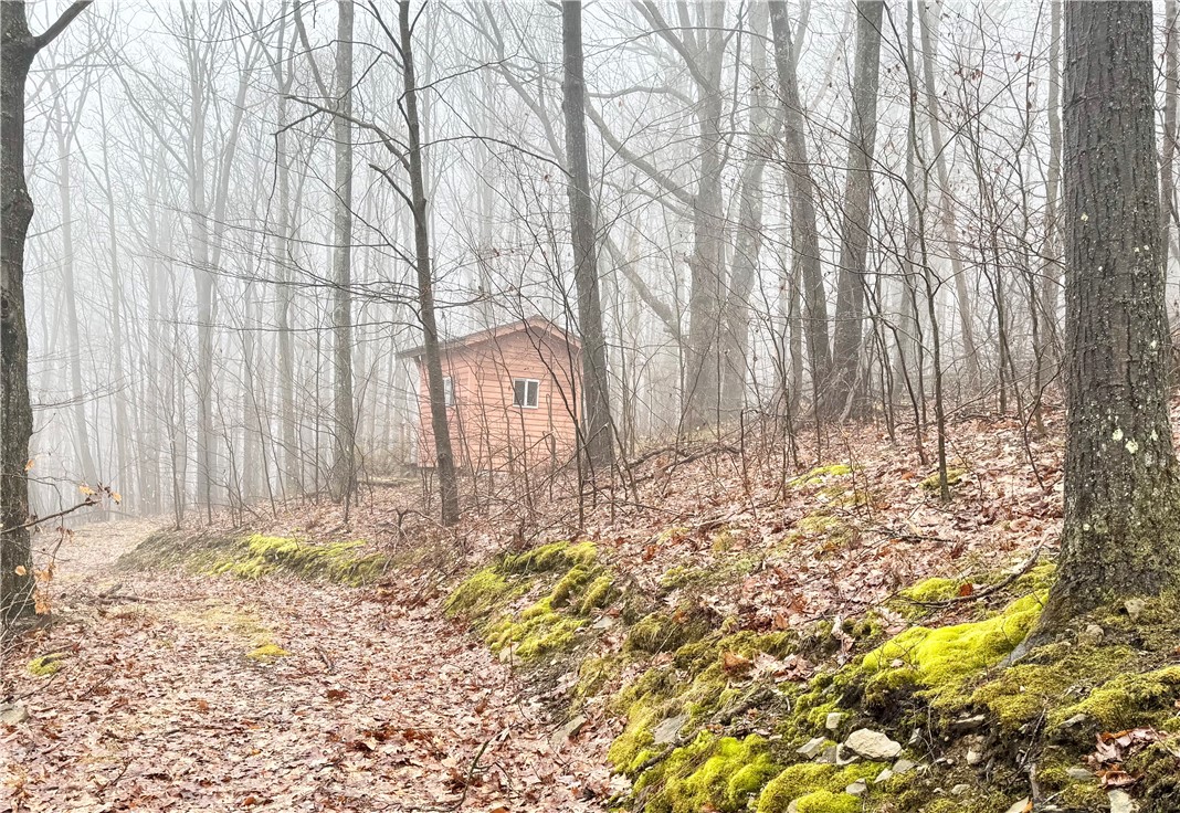 2595 Colby Creek Road Jasper, NY 14823 - Photo 31 of 37 Upper hunting house