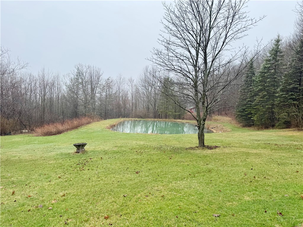 2595 Colby Creek Road Jasper, NY 14823 - Photo 36 of 37