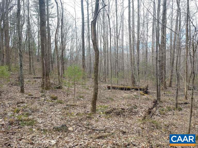 East Circle Road Stanardsville, VA 22973 - Photo 1 of 6 Gallery Image 1