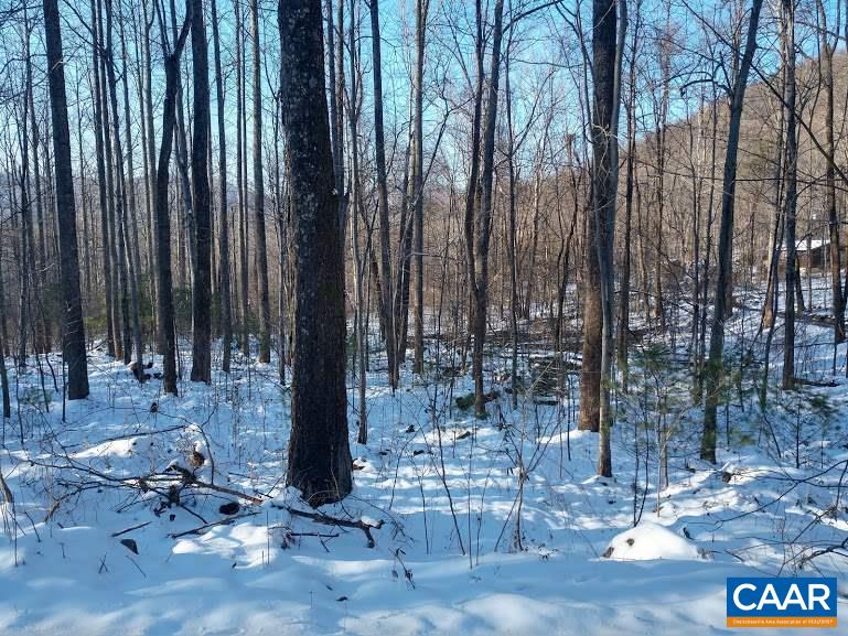 East Circle Road Stanardsville, VA 22973 - Photo 3 of 6 Gallery Image 3