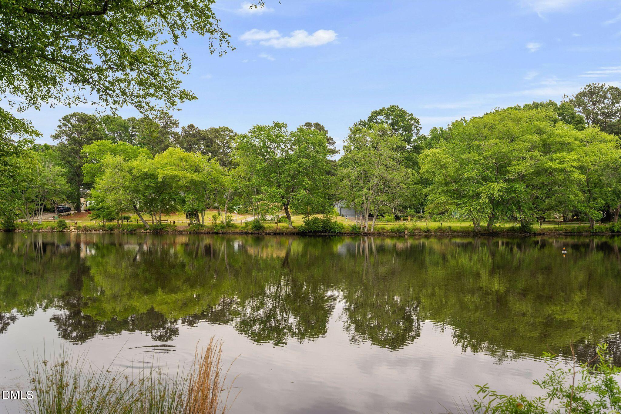 232 Fairview Road Cary, NC 27511 - Photo 17 of 18 37_NJO02672