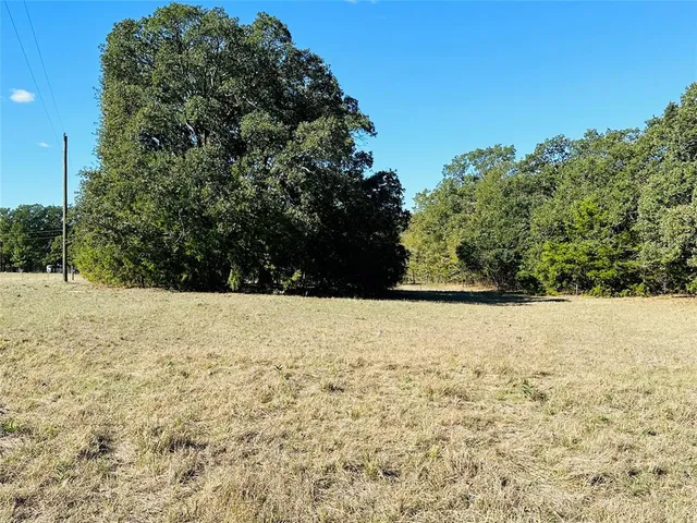 a view of yard with trees