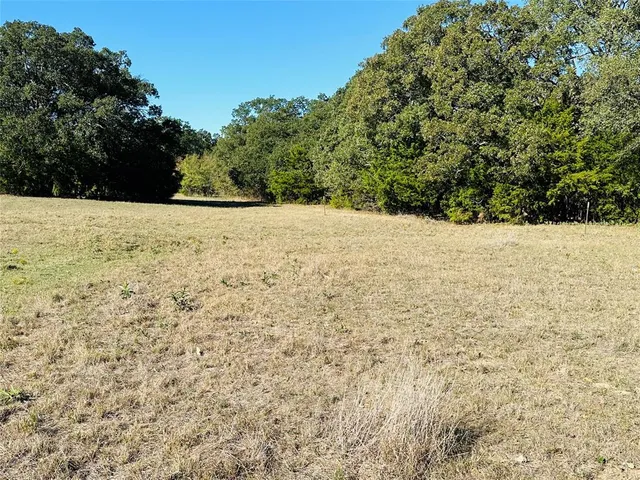 a view of a yard covered in snow