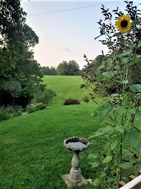 2318 Alton Station Road Lawrenceburg, KY 40342 - Photo 31 of 45 10982