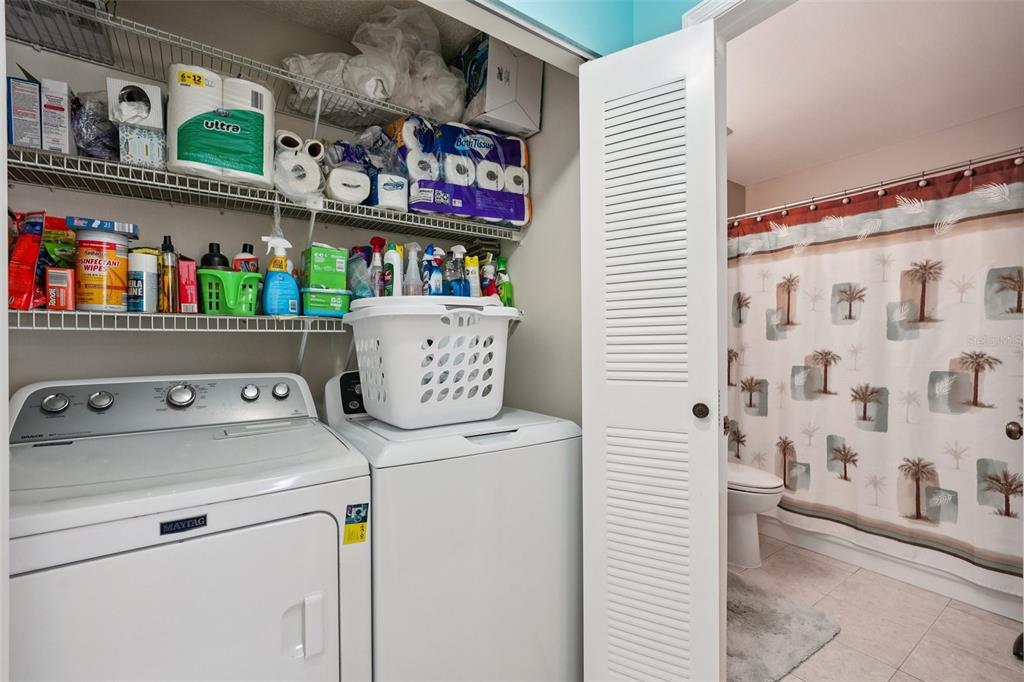 2003 Halidom Way Sun City Center, FL 33573 - Photo 47 of 87