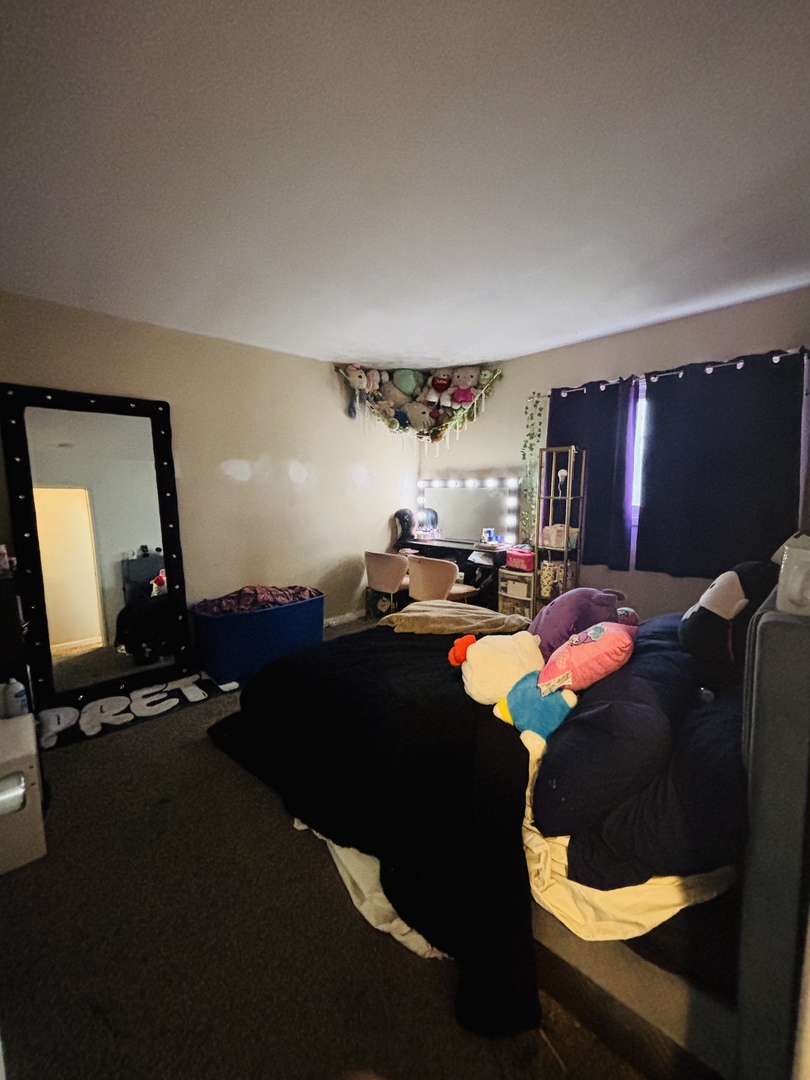 807 Union Drive University Park, IL 60484 - Photo 11 of 19