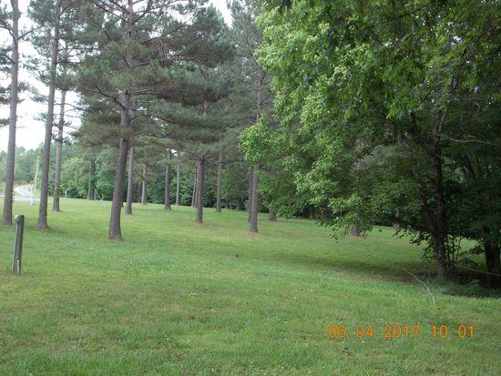 175 Pollock Cemetery Road Hohenwald, TN 38462 - Photo 1 of 8 Gallery Image 1
