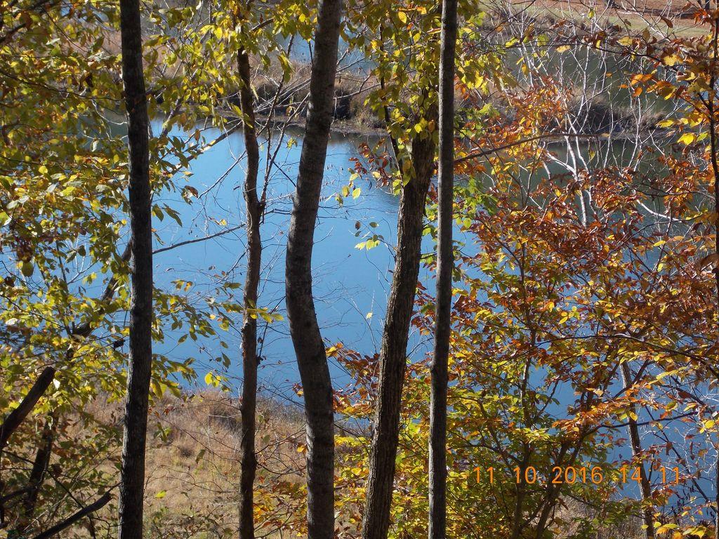 175 Pollock Cemetery Road Hohenwald, TN 38462 - Photo 3 of 8 Gallery Image 3