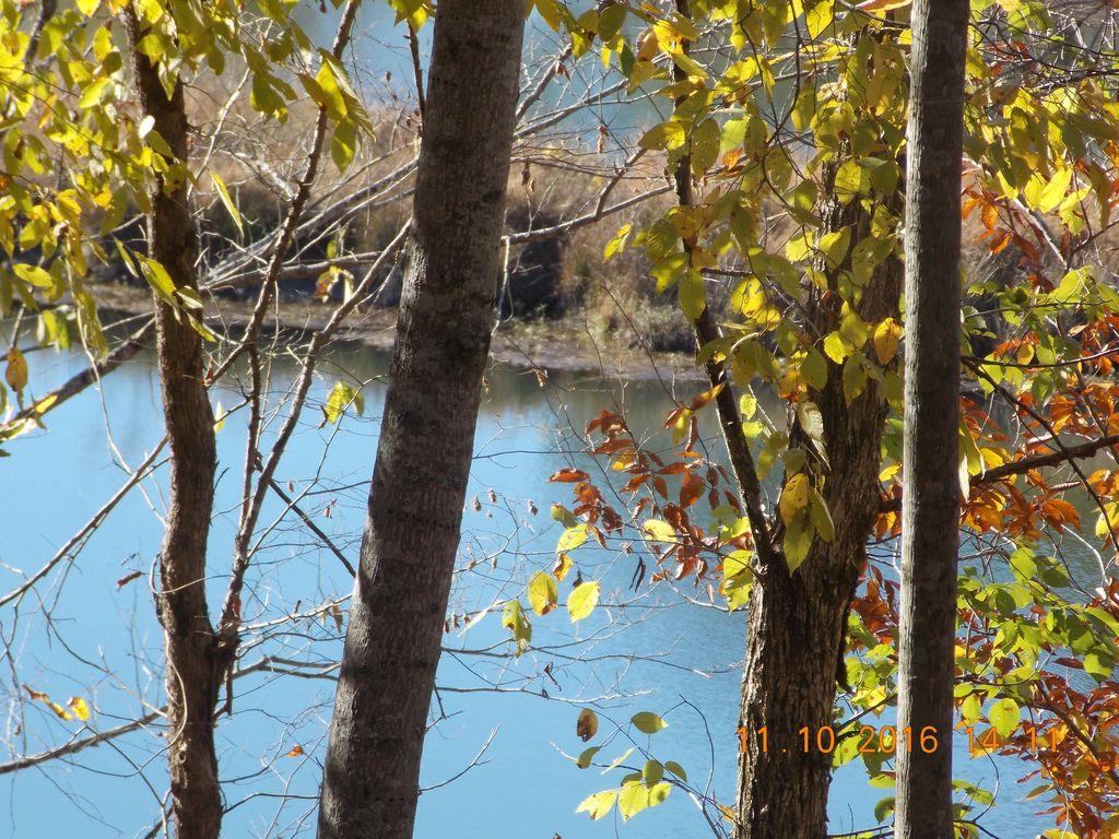 175 Pollock Cemetery Road Hohenwald, TN 38462 - Photo 4 of 8 Gallery Image 4