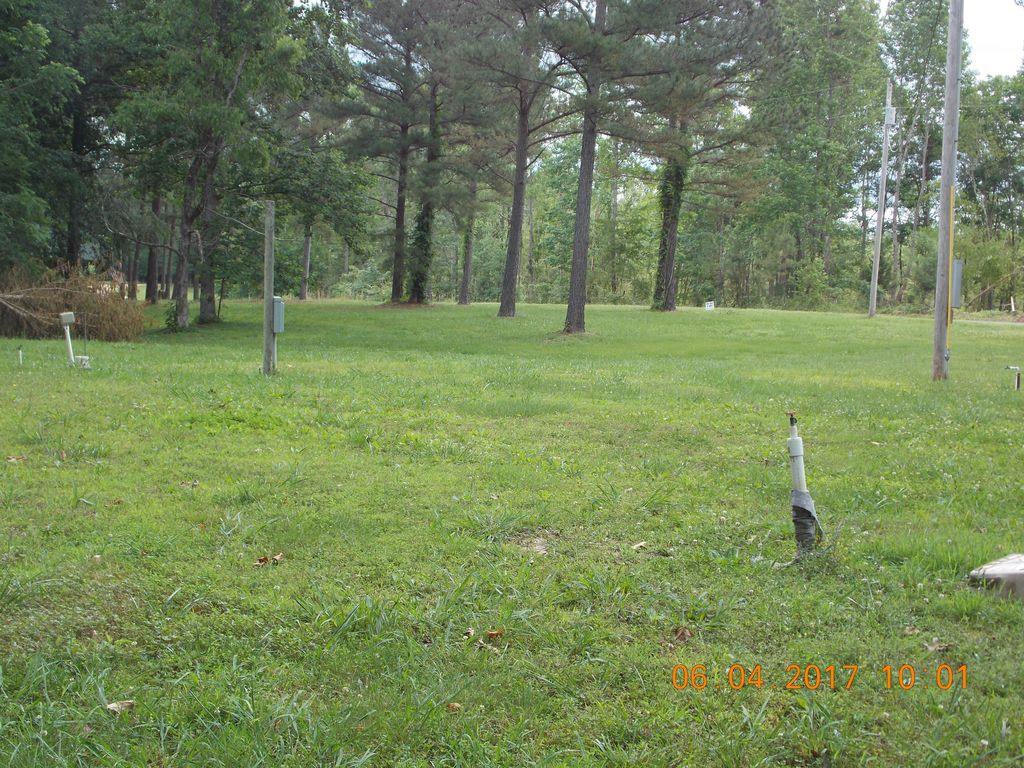 175 Pollock Cemetery Road Hohenwald, TN 38462 - Photo 6 of 8 Gallery Image 6