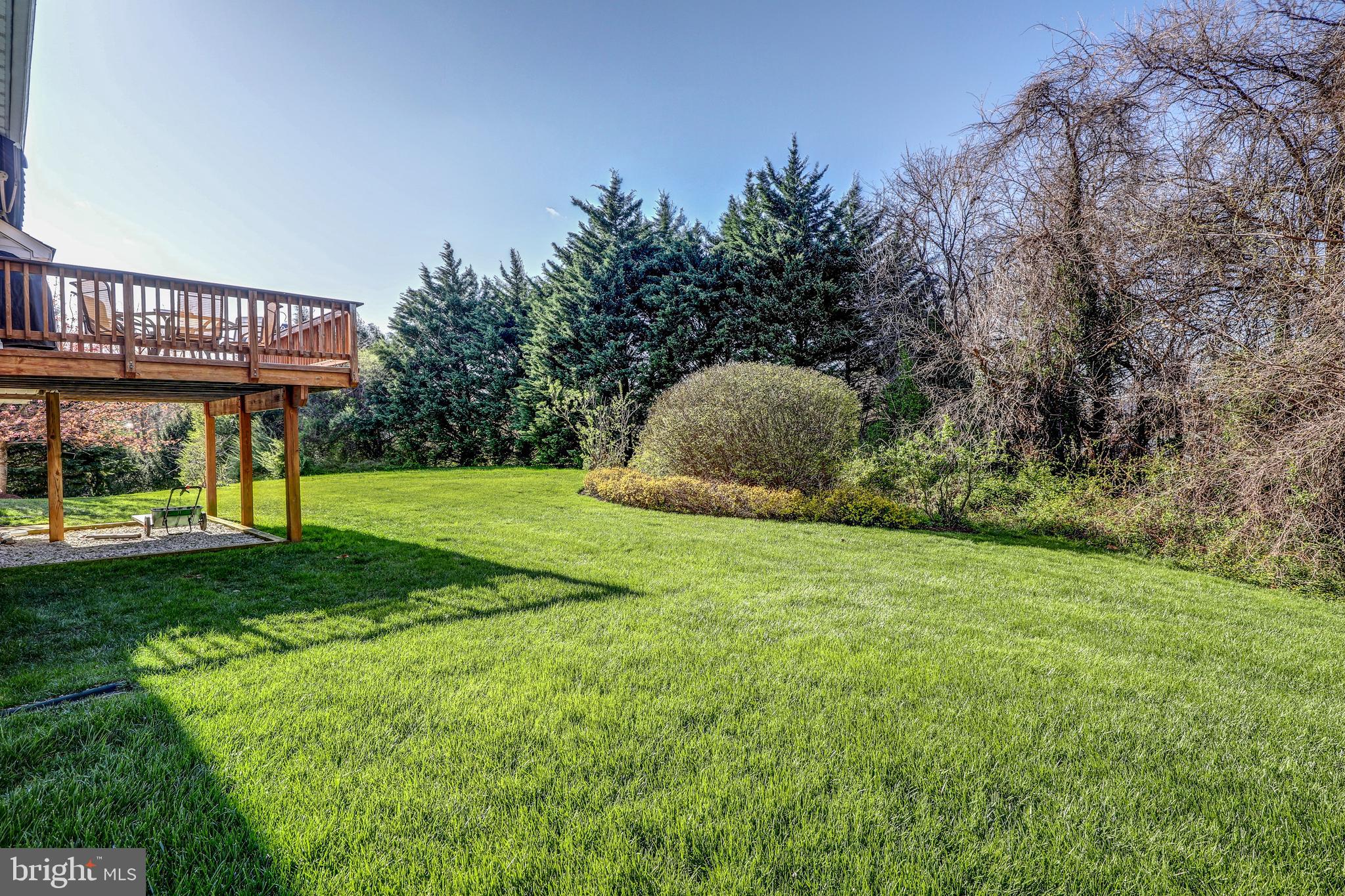 339 Winners's Circle Warrenton, VA 20186 - Photo 37 of 38 View of backyard