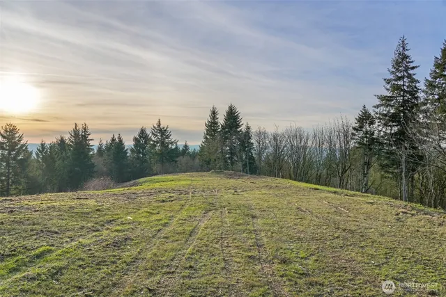 a view of a yard with an trees