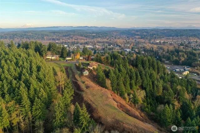 an aerial view of residential houses with outdoor space and trees