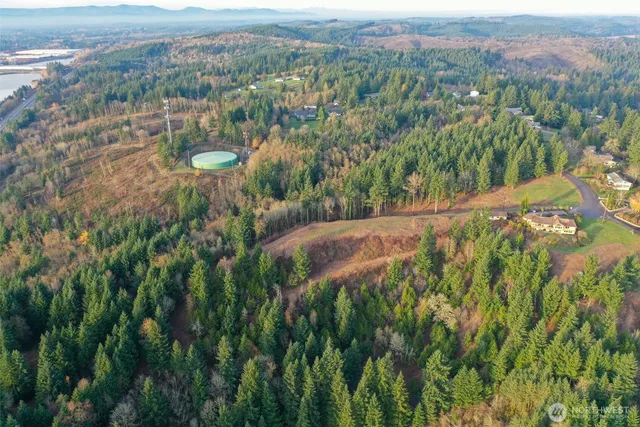 a view of a lush green forest with trees and some houses