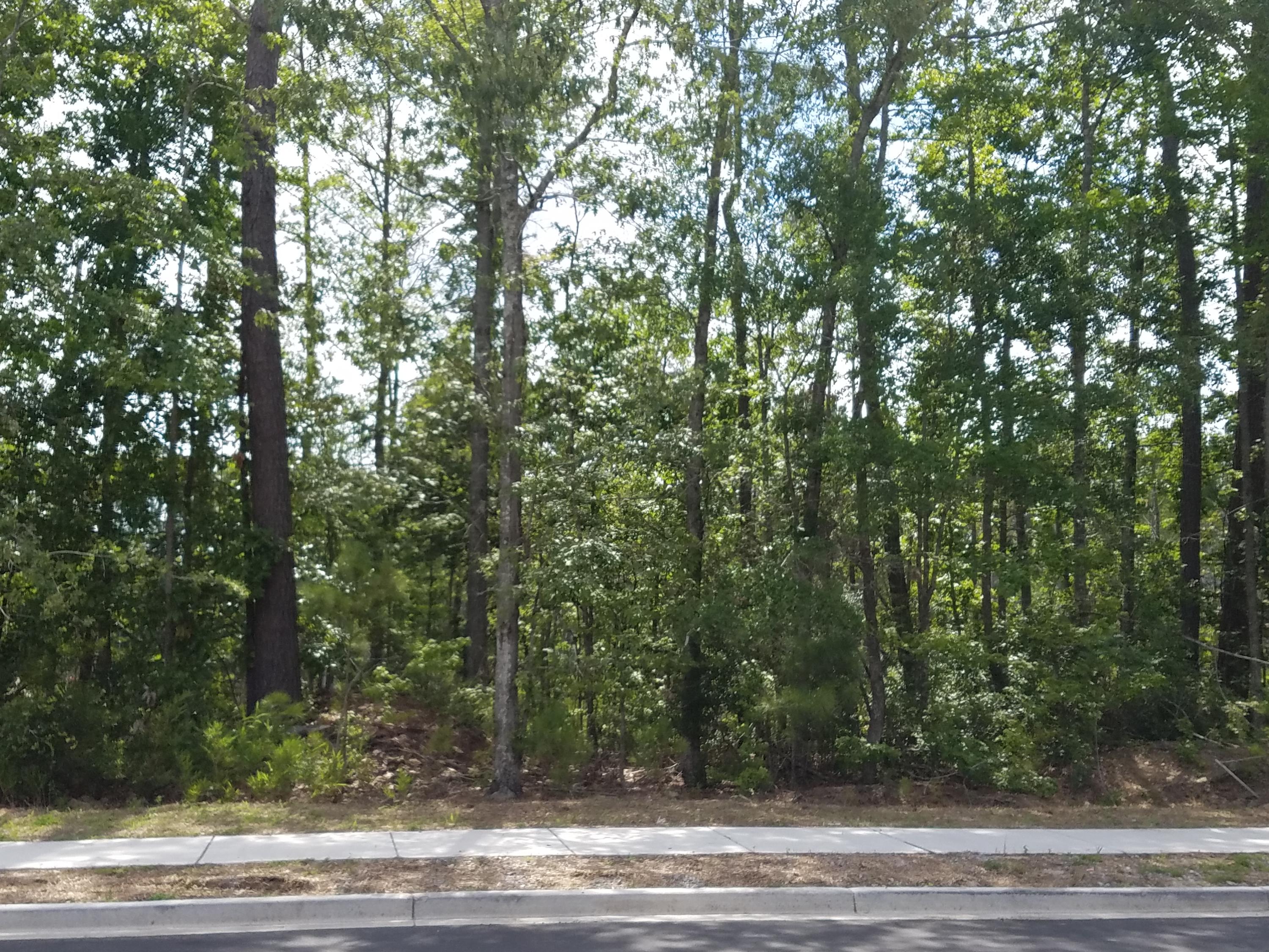 1488 Roustabout Way Charleston, SC 29414 - Photo 21 of 36 Wetlands (1)