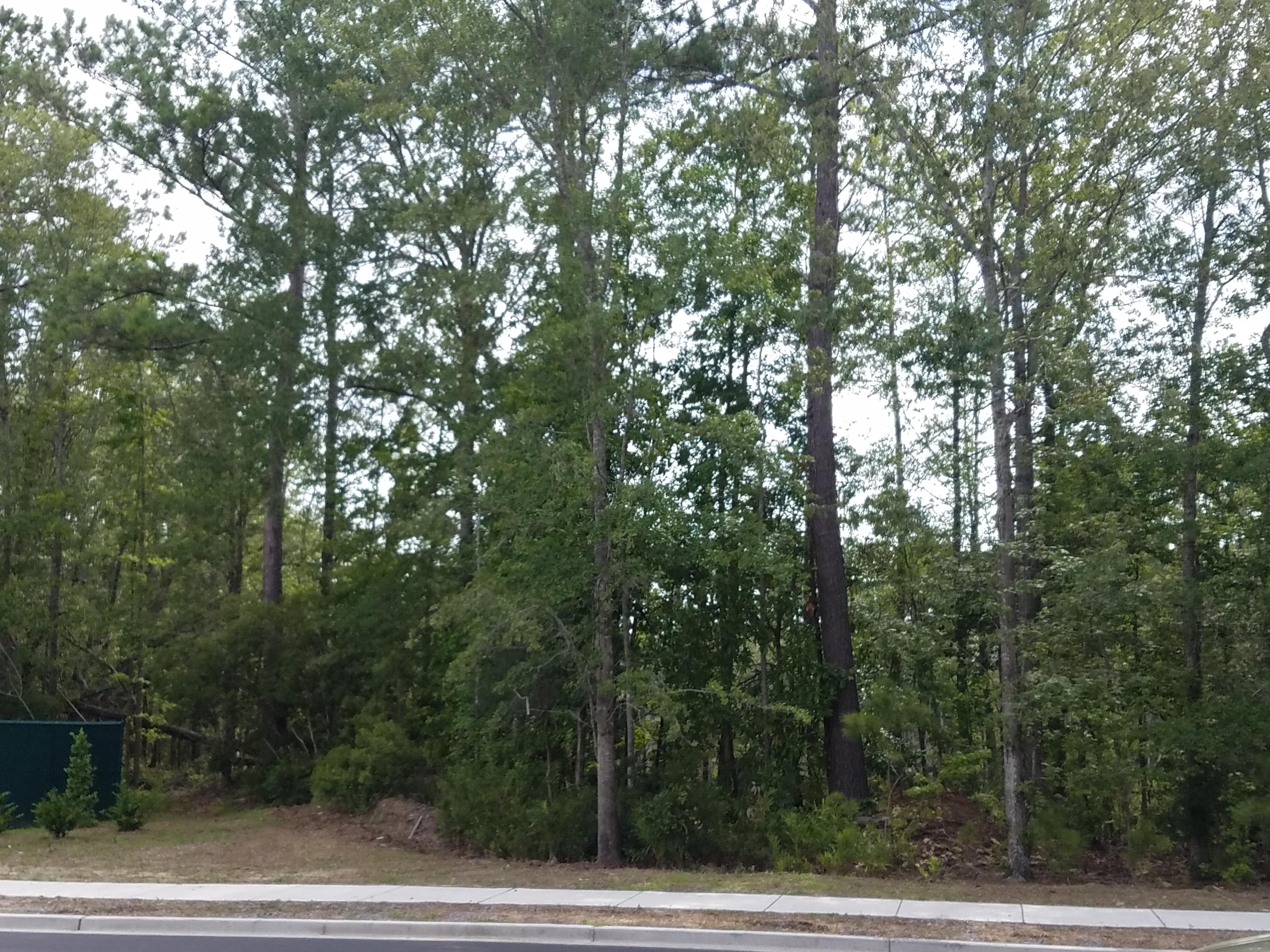 1488 Roustabout Way Charleston, SC 29414 - Photo 22 of 36 Wetlands (3)