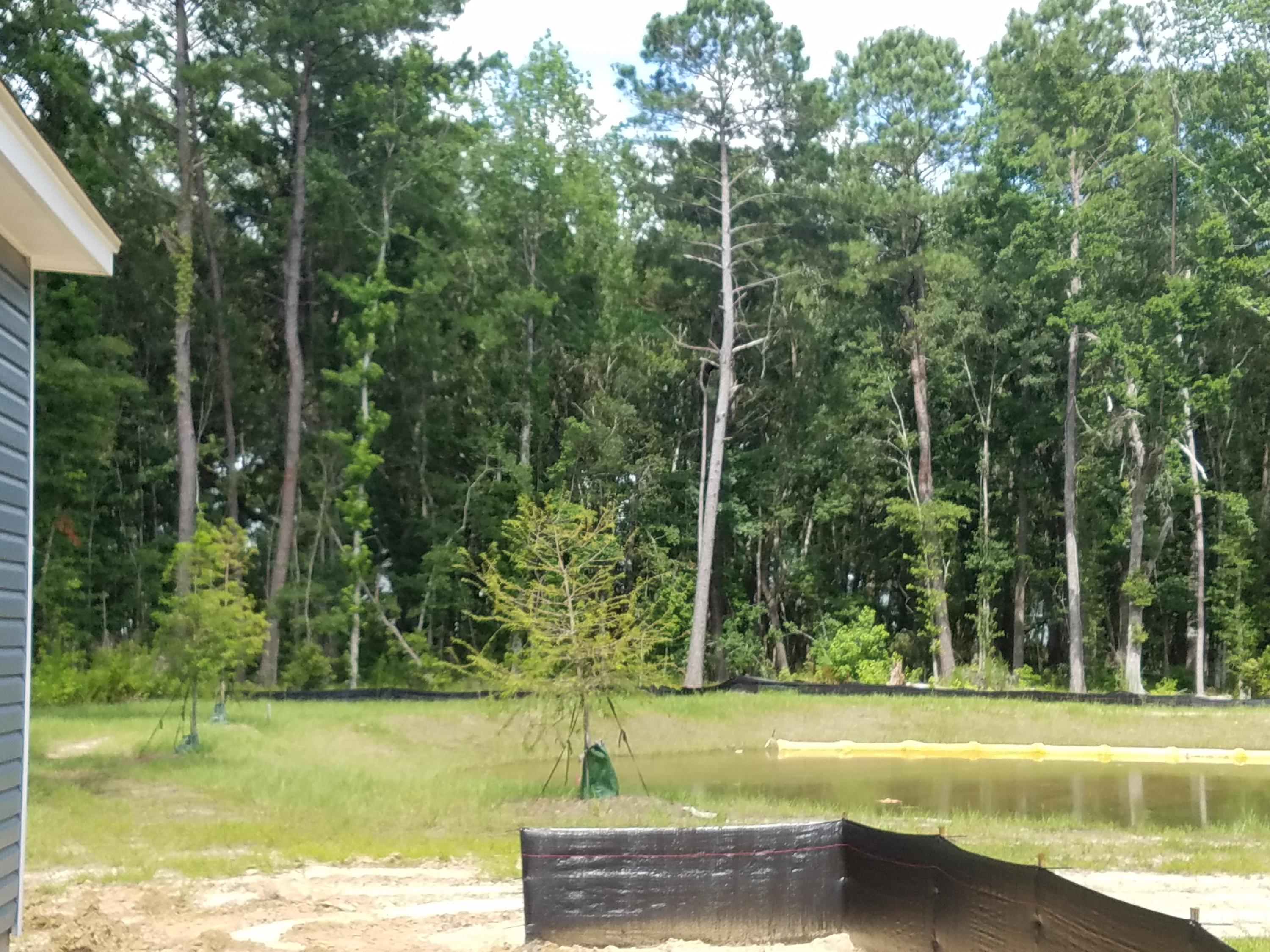1488 Roustabout Way Charleston, SC 29414 - Photo 23 of 36 Pond and Wetland