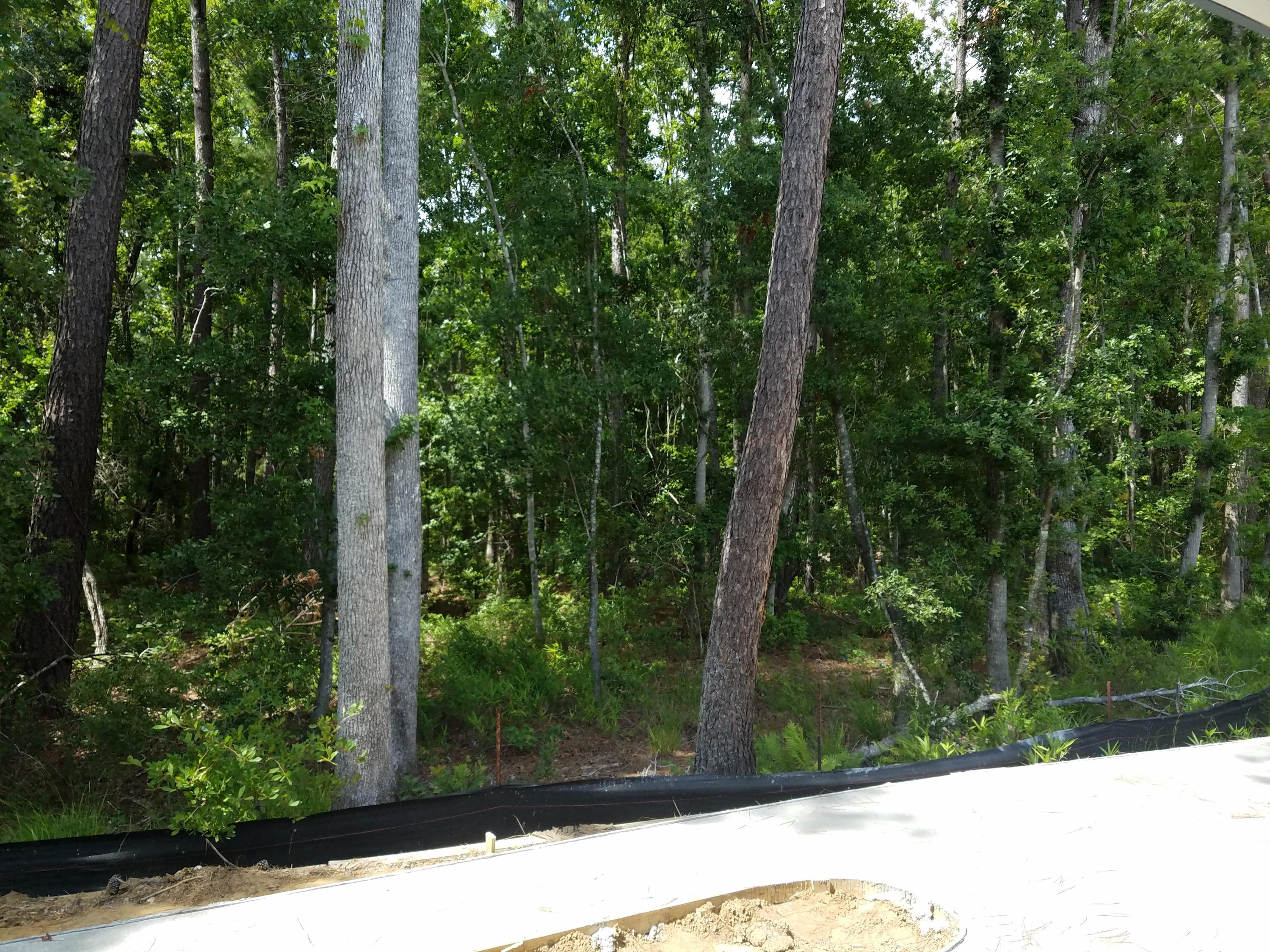 1488 Roustabout Way Charleston, SC 29414 - Photo 24 of 36 Wetlands
