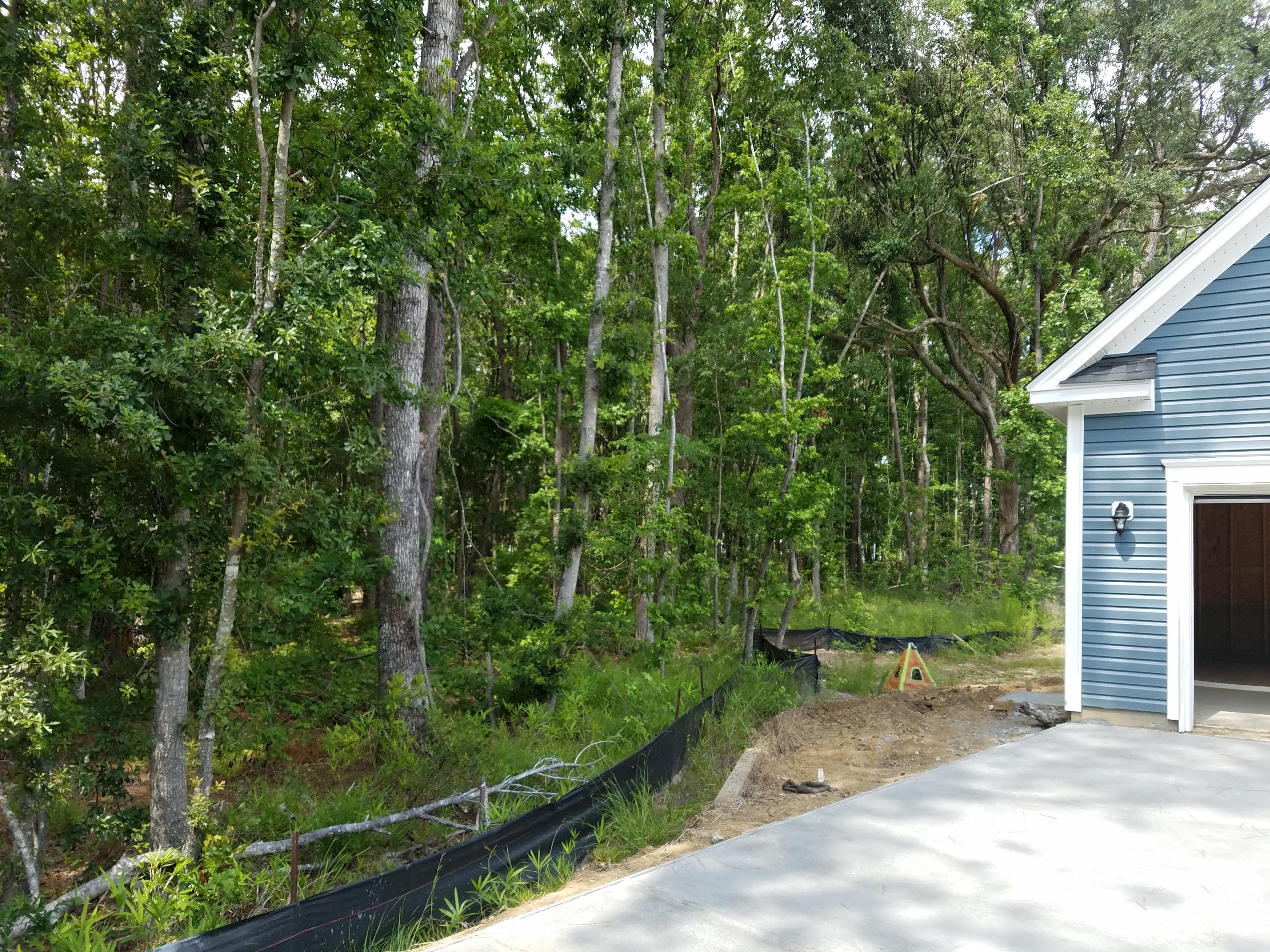 1488 Roustabout Way Charleston, SC 29414 - Photo 25 of 36 Wetlands (2)