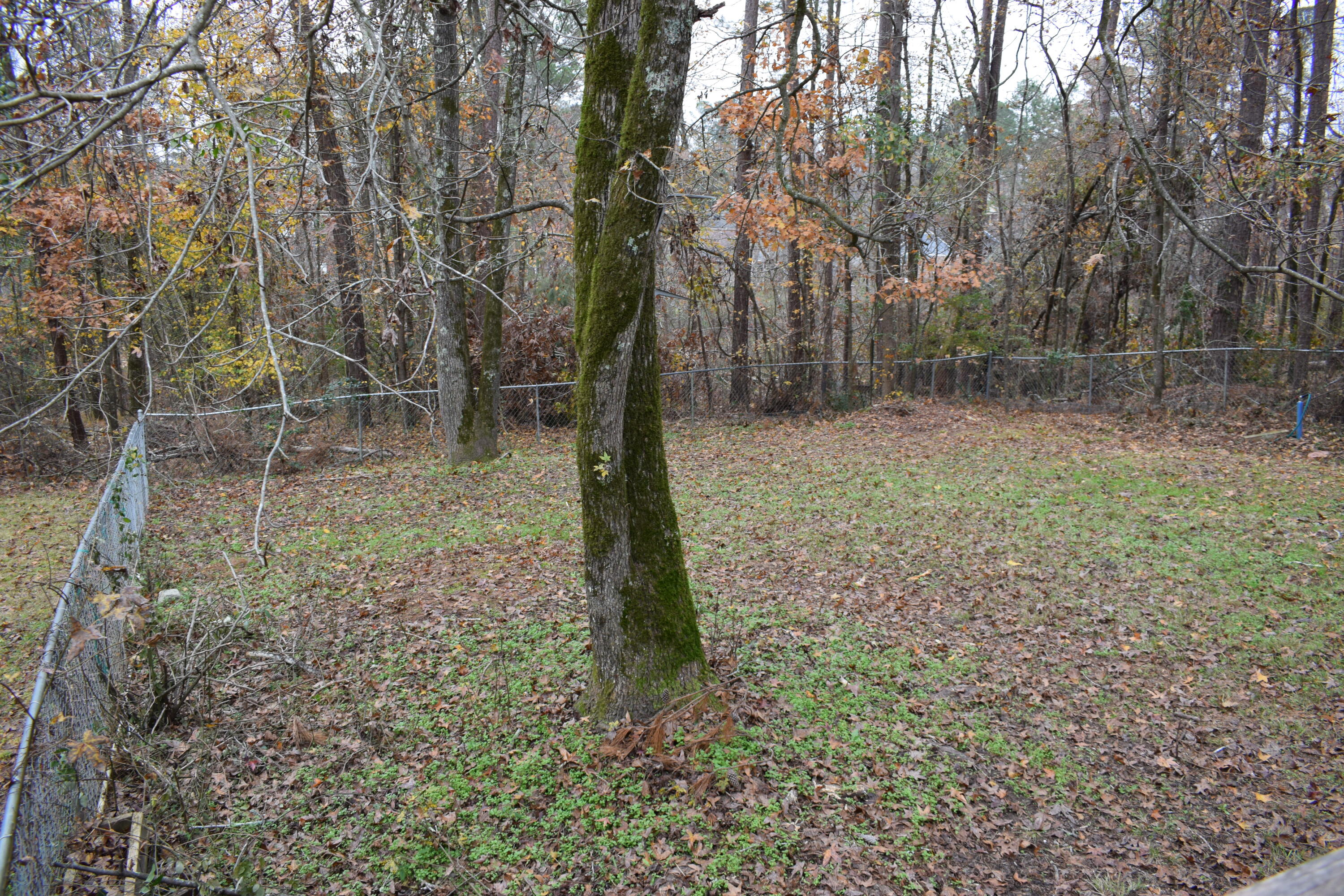 617 Gibbs Road Evans, GA 30809 - Photo 37 of 44 DSC_0407