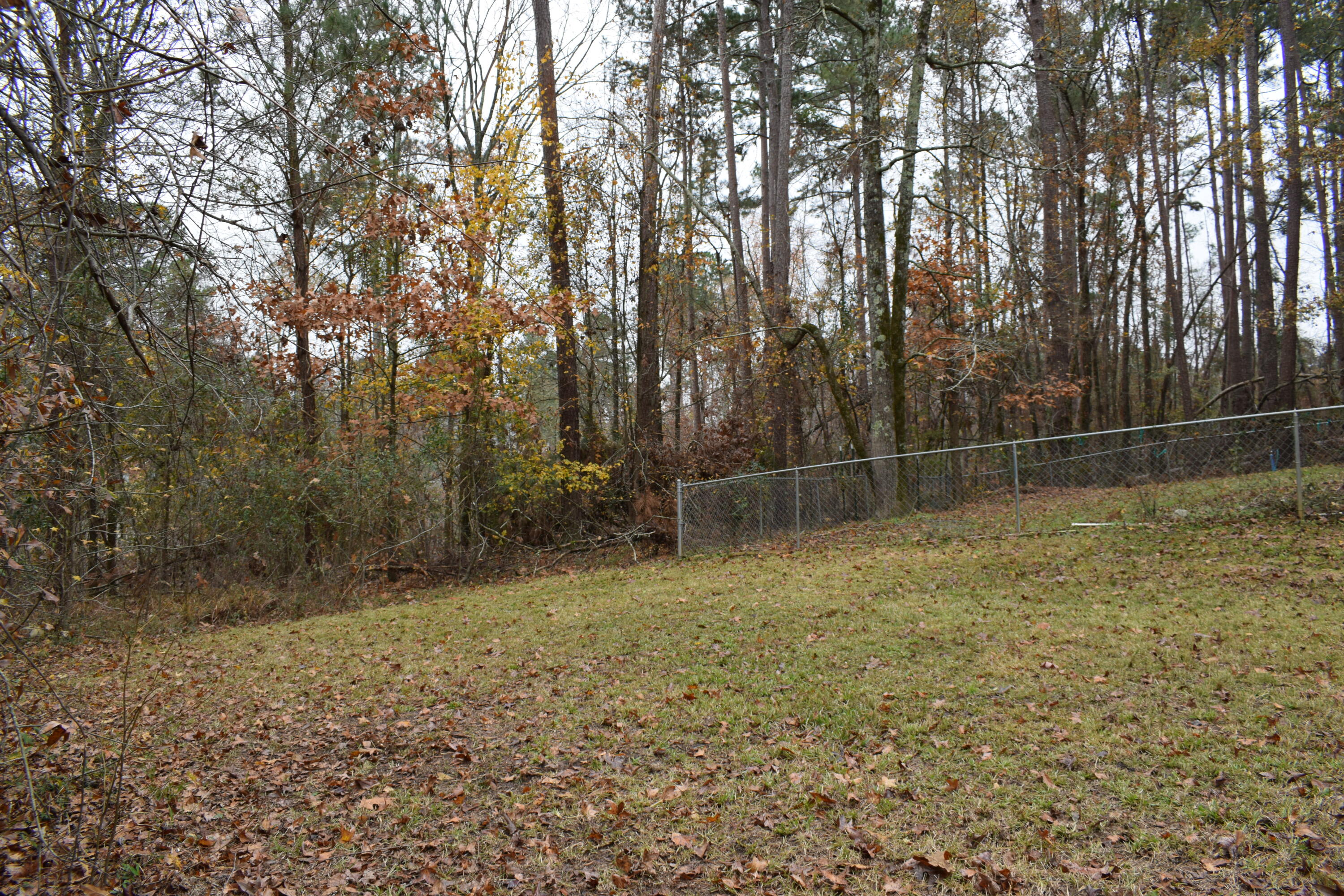 617 Gibbs Road Evans, GA 30809 - Photo 42 of 44 DSC_0394