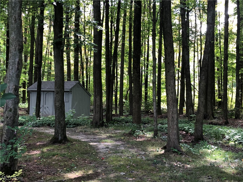 35236 Martin Road Willoughby, OH 44094 - Photo 11 of 35 View of nature