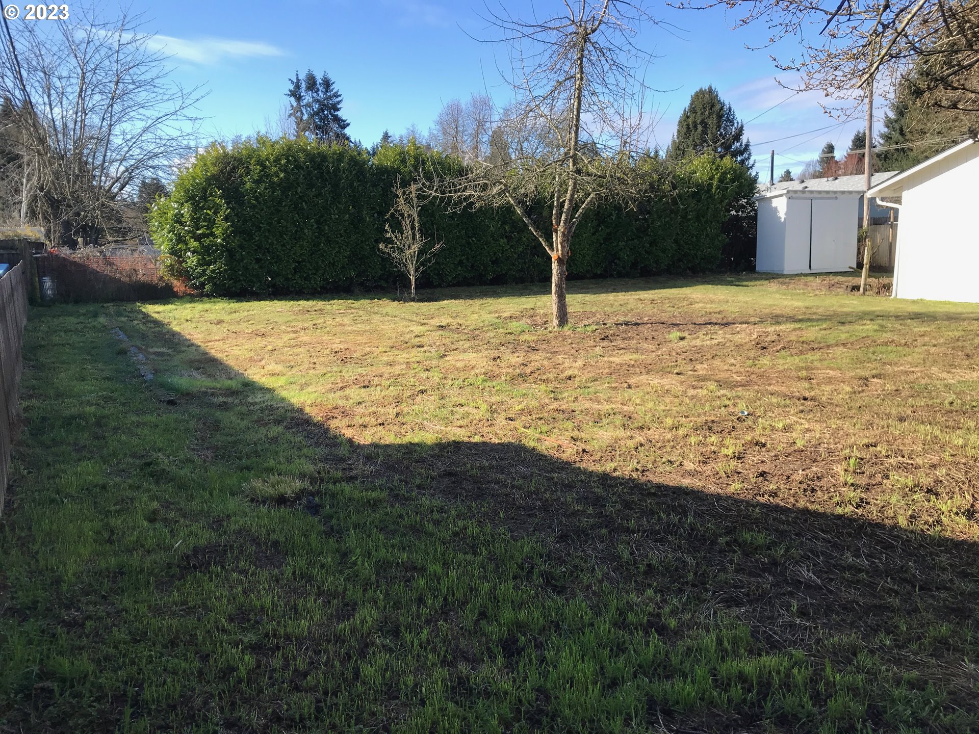 2295 Dakota Street Eugene, OR 97402 - Photo 13 of 17 a view of a yard with an trees