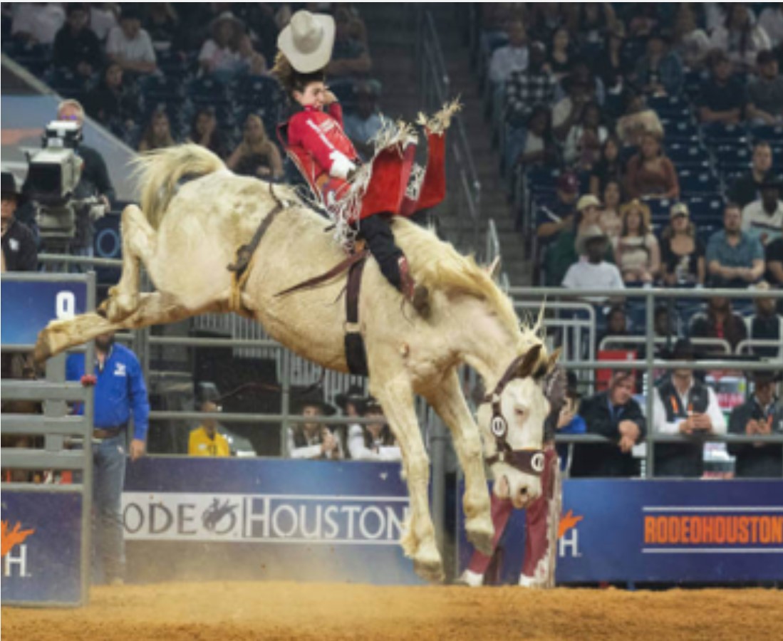 3314 North MacGregor Way, Unit 2 Houston, TX 77004 - Photo 37 of 39 Houston Rodeo