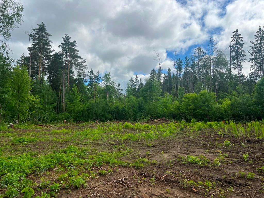 Lot 9-blk Isleview Road Grand Rapids, MN 55744 - Photo 13 of 14