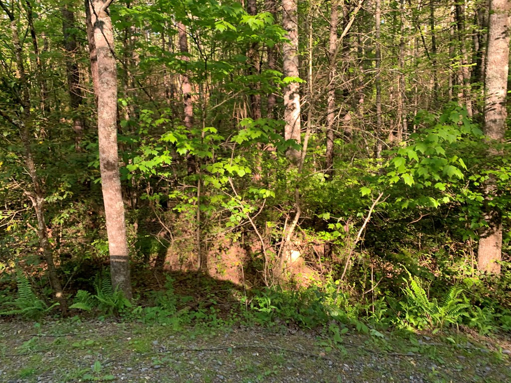 4 Hunter Vly Road Murphy, NC 28906 - Photo 16 of 16