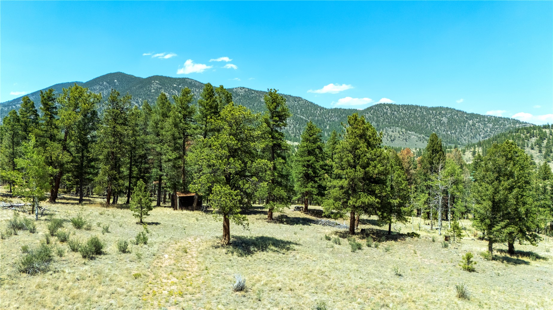 1036 Pulver Road Lake George, CO 80827 - Photo 2 of 27