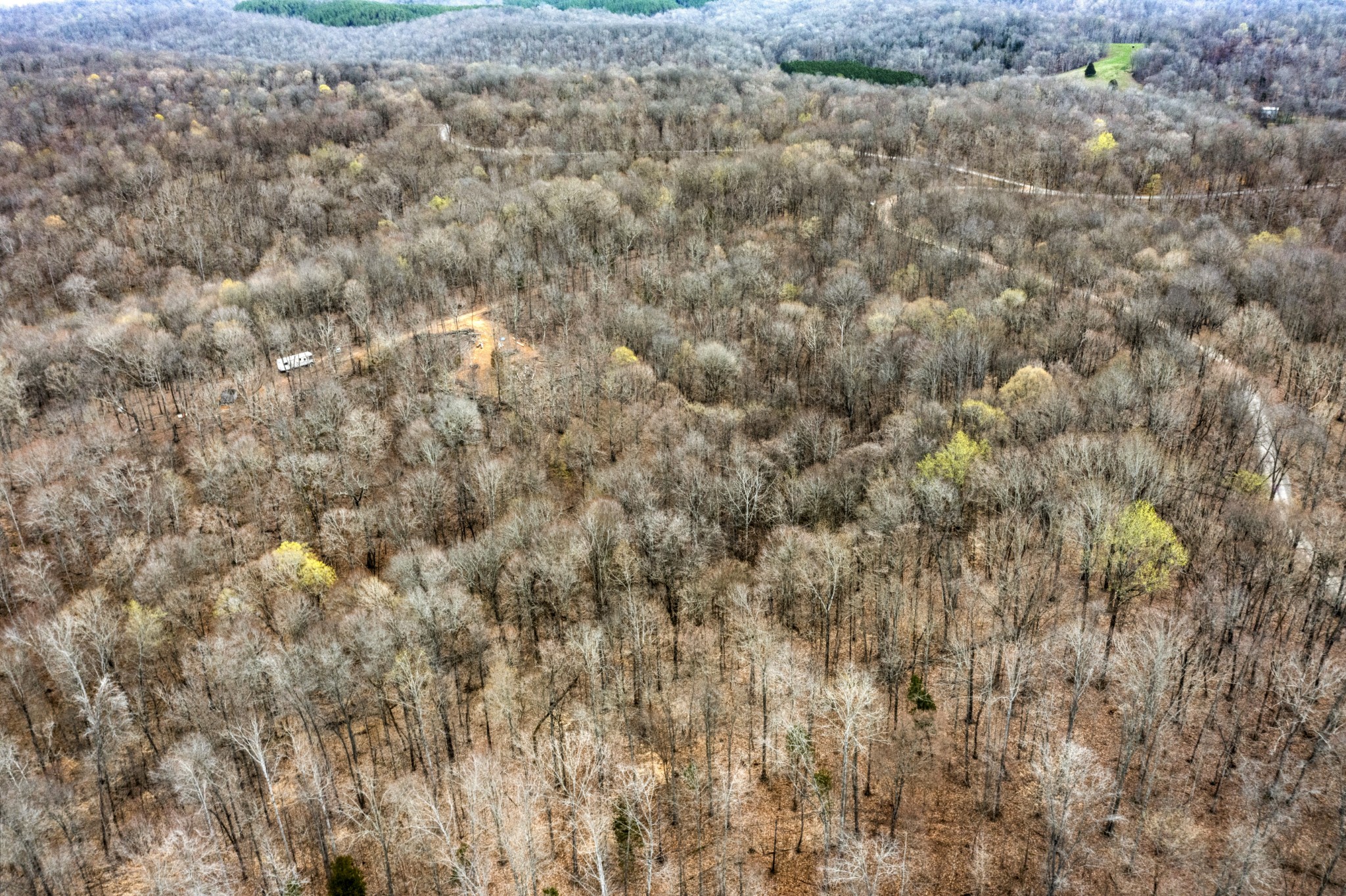 0 Lineport Road Bumpus Mills, TN 37028 - Photo 3 of 9 Gallery Image 3