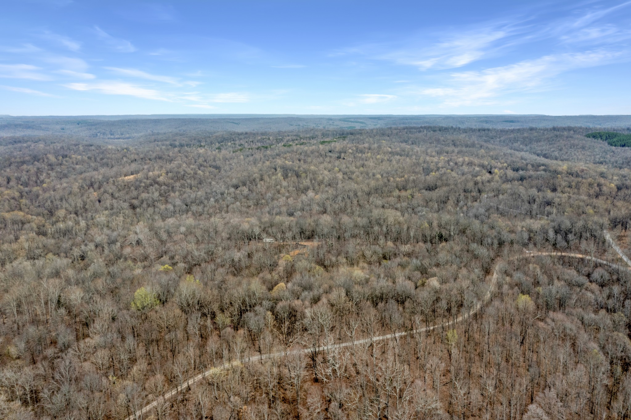 0 Lineport Road Bumpus Mills, TN 37028 - Photo 4 of 9 Gallery Image 4