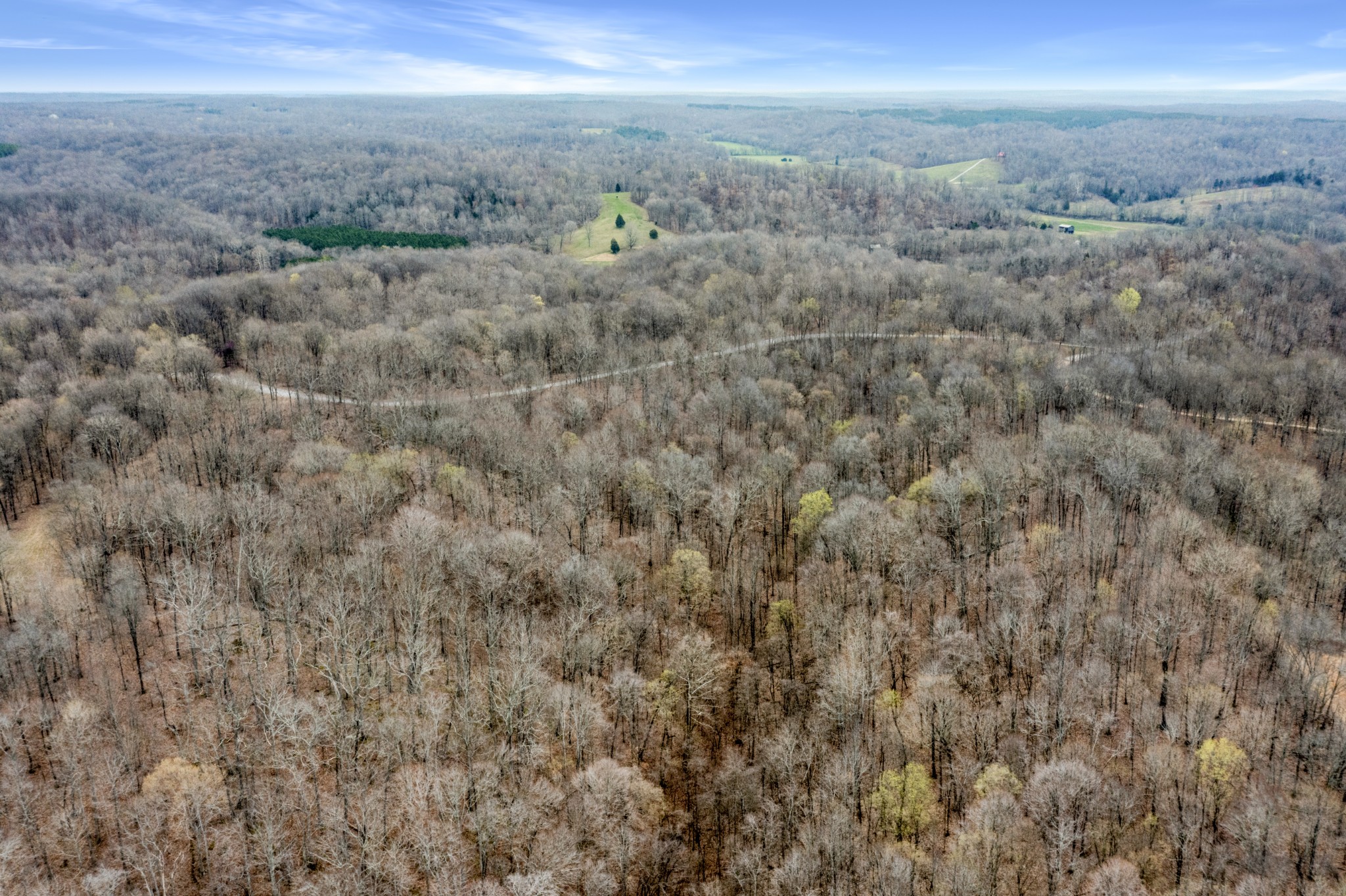 0 Lineport Road Bumpus Mills, TN 37028 - Photo 7 of 9 Gallery Image 7