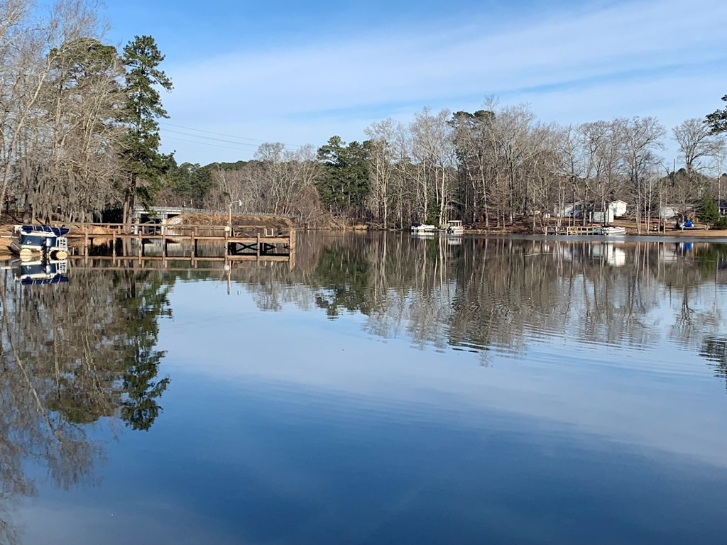 2168 James Loop Road Manning, SC 29102 - Photo 20 of 21 Gallery Image 20